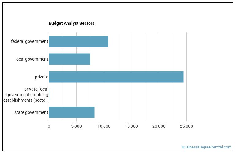 what-does-a-budget-analyst-do-business-degree-central