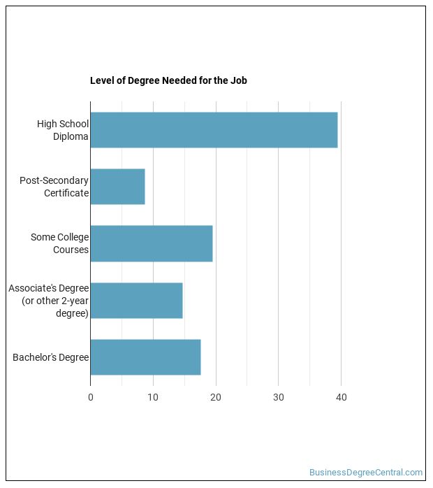 How to a Merchandise Displayer or Window Trimmer & What Do They
