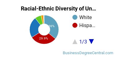Racial-Ethnic Diversity of Abilene Christian University-Undergraduate Online Undergraduate Students