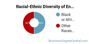 Racial-ethnic diversity of Entrepreneurial Studies majors at Alabama A & M University