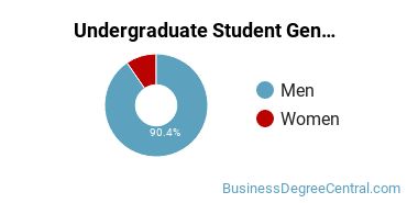Undergraduate Gender Diversity at AAI