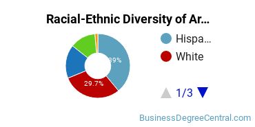 Racial-Ethnic Diversity of AAI Undergraduate Students