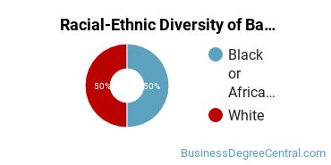 Racial-ethnic diversity of Banking & Financial Support Services majors at California Intercontinental University