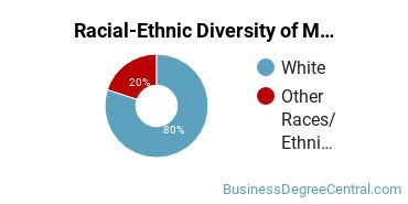 Racial-ethnic diversity of Management Information Systems majors at Central Baptist College
