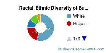 Racial-ethnic diversity of Business Support & Assistance majors at Delaware Technical Community College-Terry