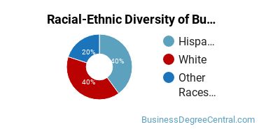 Racial-ethnic diversity of Business Support & Assistance majors at Estrella Mountain Community College