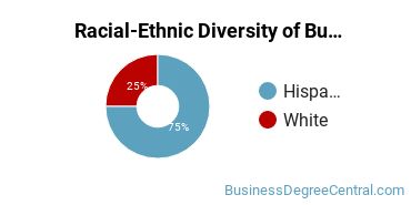 Racial-ethnic diversity of Business Support & Assistance majors at Flint Hills Technical College