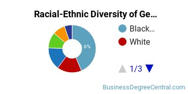 Racial-Ethnic Diversity of Georgia State University-Perimeter College Undergraduate Students