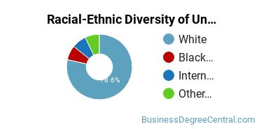 Racial-Ethnic Diversity of Great Northern University Undergraduate Students