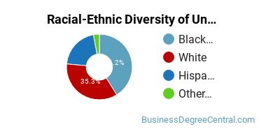 Racial-Ethnic Diversity of Herzing University-Tampa Undergraduate Students