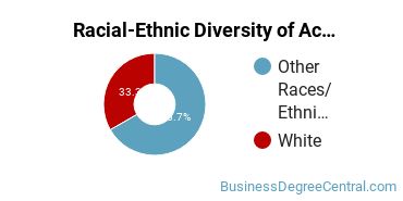 Racial-ethnic diversity of Accounting Technology/Bookkeeping majors at Lake Superior State University
