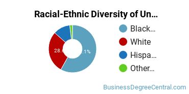 Racial-Ethnic Diversity of Lakewood University Undergraduate Students