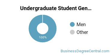 Undergraduate Gender Diversity at Morehouse College