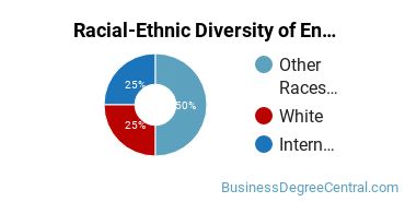 Racial-ethnic diversity of Entrepreneurial Studies majors at Northeastern State University