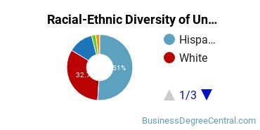 Racial-Ethnic Diversity of Oak Valley College Undergraduate Students