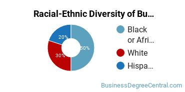 Racial-ethnic diversity of Business Administration & Management majors at Ohio Business College-Sheffield