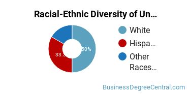 Racial-Ethnic Diversity of Pathways College Undergraduate Students