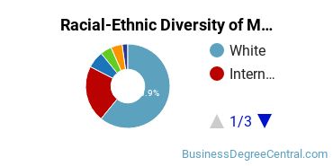 Racial-ethnic diversity of Management Information Systems majors at Pennsylvania State University-Main Campus