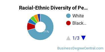 Racial-Ethnic Diversity of Pennsylvania State University-Penn State Beaver Undergraduate Students