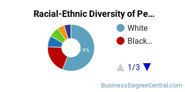 Racial-Ethnic Diversity of Pennsylvania State University-Penn State Greater Allegheny Undergraduate Students