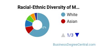 Racial-ethnic diversity of Marketing majors at Pennsylvania State University-Penn State Harrisburg