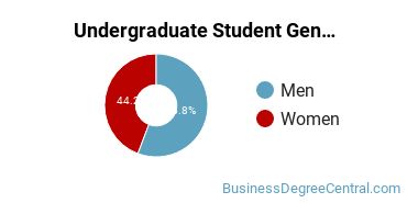 Undergraduate Gender Diversity at Pennsylvania State University-Penn State Lehigh Valley