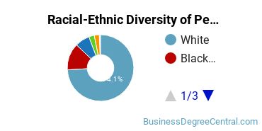 Racial-Ethnic Diversity of Pennsylvania State University-Penn State Schuylkill Undergraduate Students