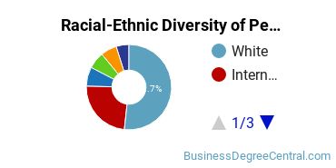 Racial-Ethnic Diversity of Pennsylvania State University-Penn State York Undergraduate Students