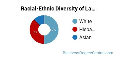 Racial-ethnic diversity of Labor & Industrial Relations majors at Pennsylvania State University-World Campus