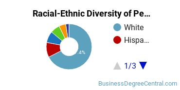 Racial-Ethnic Diversity of Pennsylvania State University-World Campus Undergraduate Students