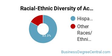 Racial-ethnic diversity of Accounting majors at Pontifical Catholic University of Puerto Rico-Mayaguez