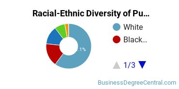 Racial-Ethnic Diversity of Purdue University Global Undergraduate Students