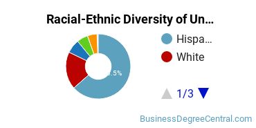 Racial-Ethnic Diversity of San Joaquin Valley College-Bakersfield Undergraduate Students
