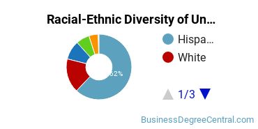 Racial-Ethnic Diversity of San Joaquin Valley College-Fresno Undergraduate Students