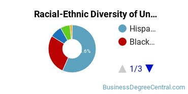 Racial-Ethnic Diversity of San Joaquin Valley College-Lancaster Undergraduate Students