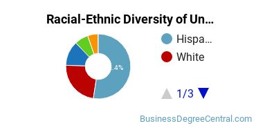 Racial-Ethnic Diversity of San Joaquin Valley College-Temecula Undergraduate Students