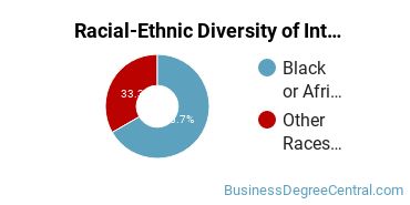Racial-ethnic diversity of International Business majors at Schiller International University