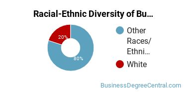 Racial-ethnic diversity of Business Administration & Management majors at Sinte Gleska University