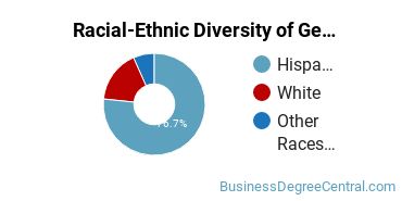 Racial-ethnic diversity of Business & Commerce majors at Southwest Texas College