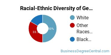 Racial-ethnic diversity of Business & Commerce majors at Stark State College