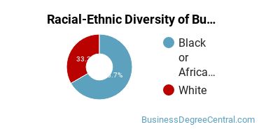 Racial-ethnic diversity of Business Administration & Management majors at Stautzenberger College-Maumee