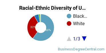 Racial-Ethnic Diversity of Ultimate Medical Academy Undergraduate Students
