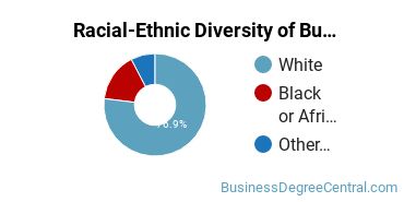 Racial-ethnic diversity of Business Administration & Management majors at University of Akron Main Campus