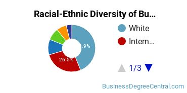 Racial-ethnic diversity of Business Administration & Management majors at University of Massachusetts-Boston