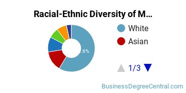 Racial-ethnic diversity of Management Information Systems majors at Villanova University