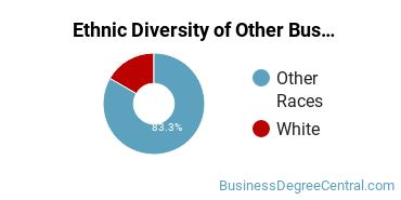 Other Business & Marketing Majors in ND Ethnic Diversity Statistics